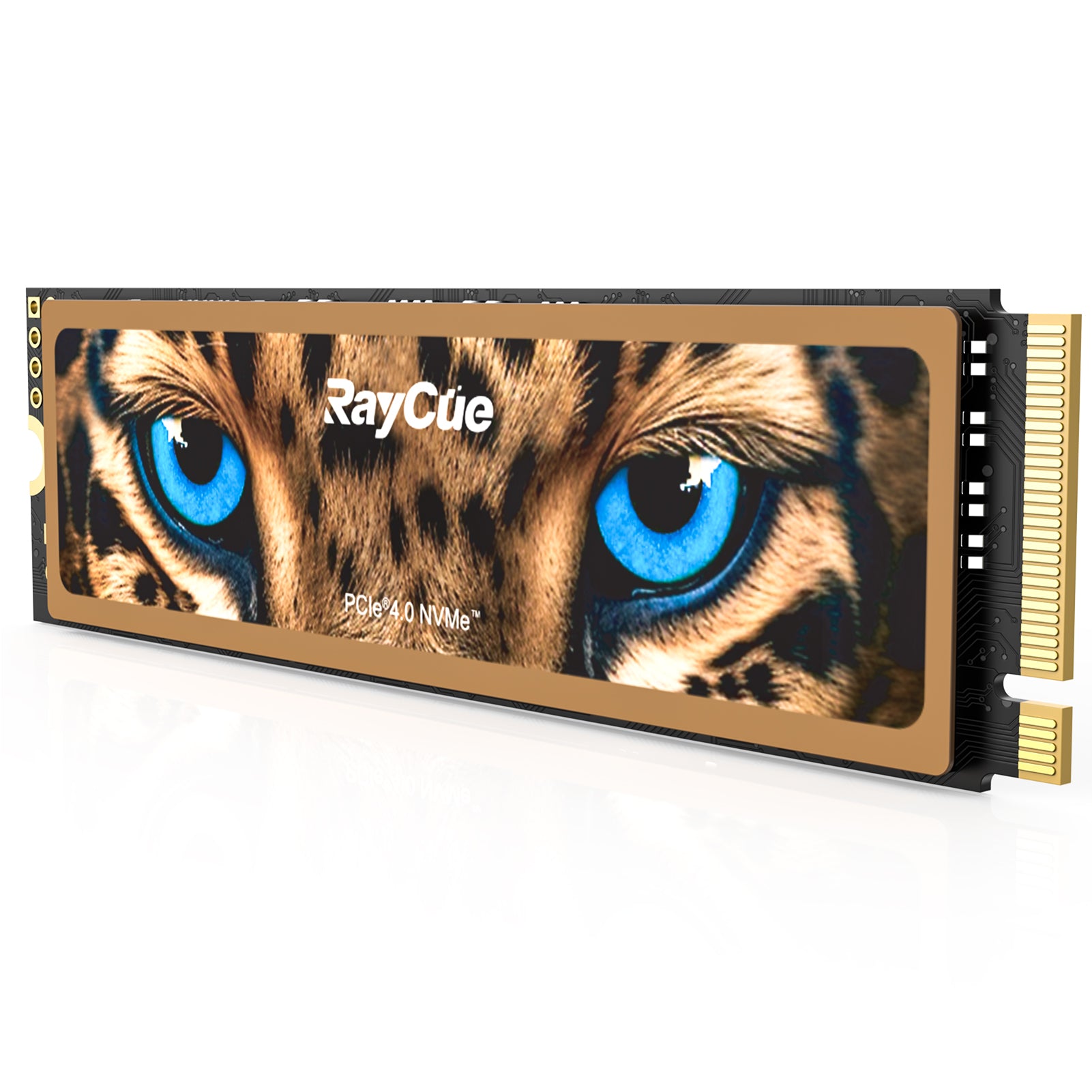 RayCue HB7450 1/2/4TB Internal Solid State Drive, PCIe 4.0 NVMe M.2 SSD- Up to 7450MB/s, 3D NAND Storage Expansion Compatible